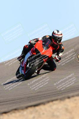 media/Feb-12-2022-SoCal Trackdays (Sat) [[3b21b94a56]]/Turn 12 (140pm)/